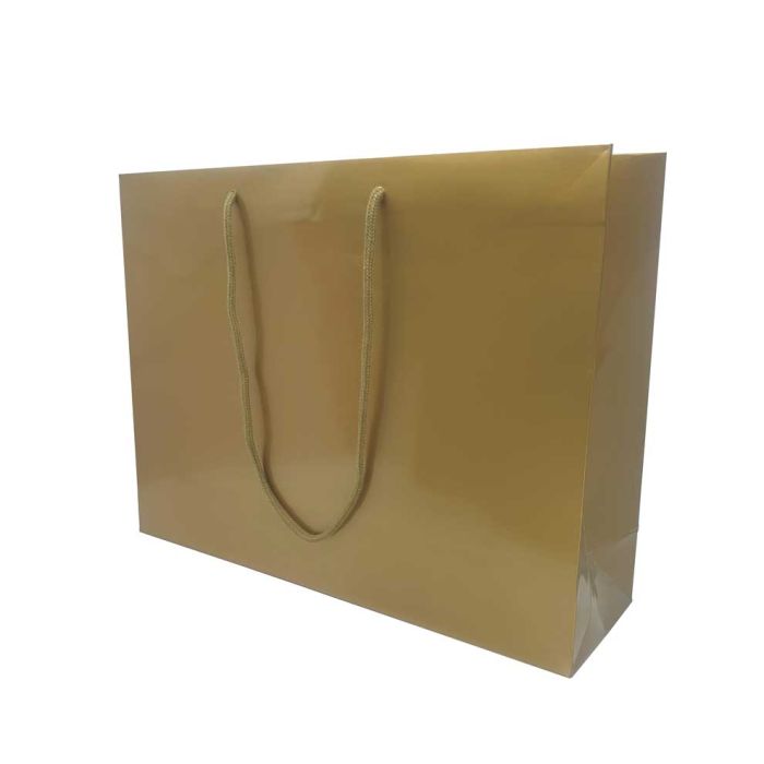 Gold Rope Handle Carrier Bag - Jaycee
